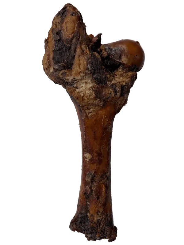 extra large hickory smoked bone