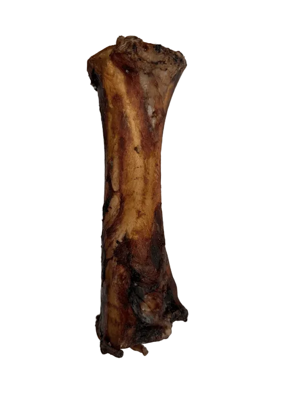 large hickory smoked bone